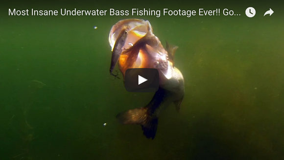 Insane Underwater Footage of Bass Attacking Lures