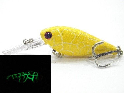 Deep Diving Crankbait BSS549